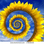 stock-photo-blue-sunny-sky-with-clouds-and-abstract-sunflower-spiral-179638346
