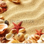 stock-photo-sea-shells-with-sand-as-background-76166761