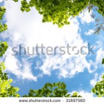 stock-photo-spring-trees-and-blue-sky-background-31697560